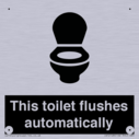this-toilet-flushes-automatically~